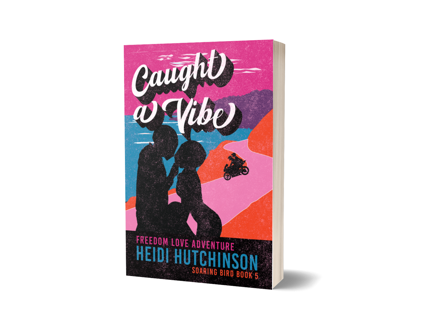 Caught a Vibe (paperback)
